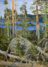 Akseli Gallen-Kallela paysage sauvage de lac 1892