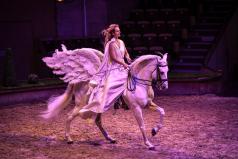 Spectacle e questre chantilly